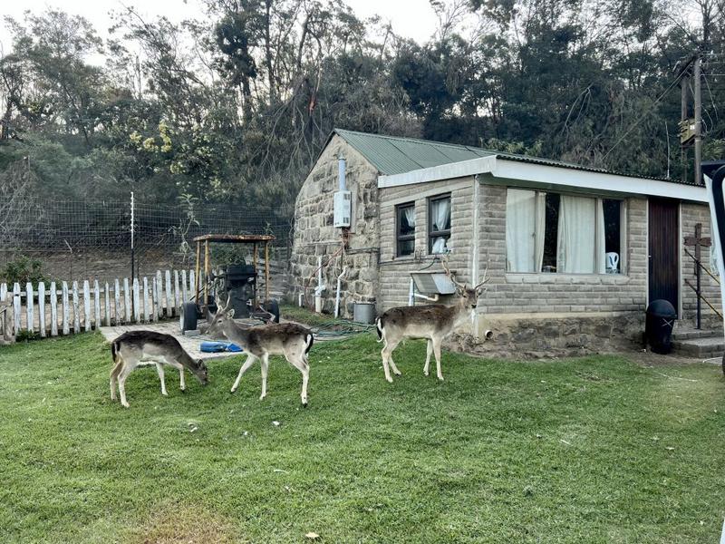 0 Bedroom Property for Sale in Harrismith Free State